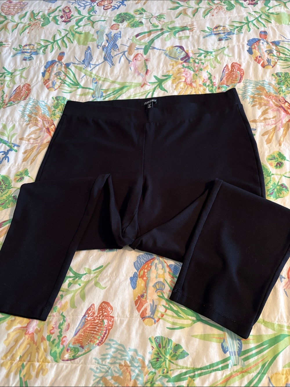 Roz & Ali Black Pull-On Ponte Knit Pants